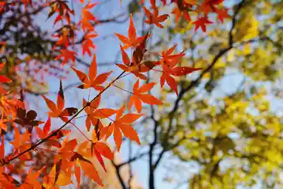 妙建山本立寺(東京都)
