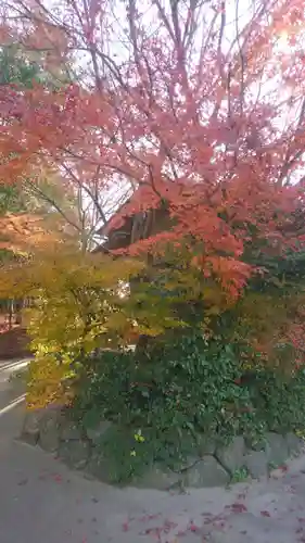 八重垣神社(島根県)