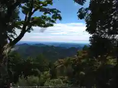 天龍寺の景色