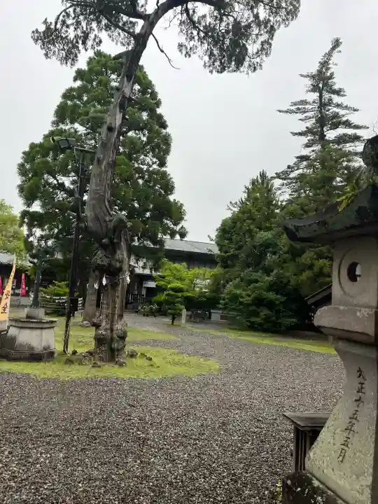 闘鶏神社(和歌山県)