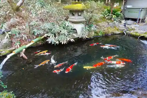 一條殿 新善光寺の庭園