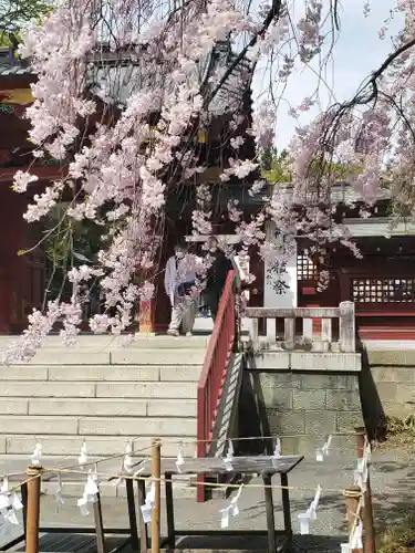 秩父神社のその他建物