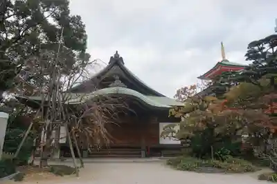 東長寺の本殿・本堂