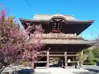 建長寺の山門・神門