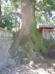 徳司神社の自然