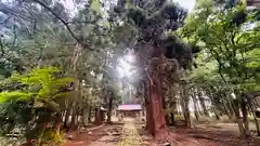 八幡神社(山形県)