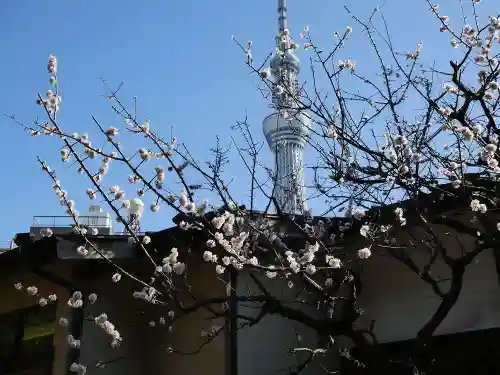 三囲神社の自然