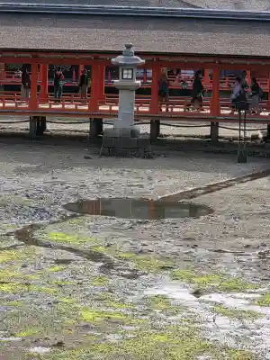 厳島神社の{uncategorized: "未分類", other: "その他", undefined: "問題あり", building: "その他建物", grave: "お墓", sacred_gate: "鳥居", guardian: "狛犬", statue: "像", buddha: "仏像", history: "歴史", nature: "自然", garden: "庭園", animal: "動物", pagoda: "塔", temizu: "手水舎", mountain_gate: "山門・神門", sanctuary: "本殿・本堂", subordinate: "末社・摂社", art: "芸術", scenery: "景色", jizo: "地蔵", ema: "絵馬", goshuin: "御朱印", omikuji: "おみくじ", items: "授与品その他", amulet: "お守り", goshuincho: "御朱印帳", eats: "食事", festival: "お祭り", votive_dance: "神楽", shichigosan: "七五三参", wedding: "結婚式", experience: "体験その他", initially: "初詣", around: "周辺", anti_infection: "感染症対策"}