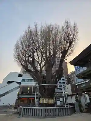 櫛田神社(福岡県)