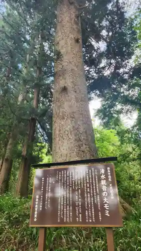 清水観音(福島県)