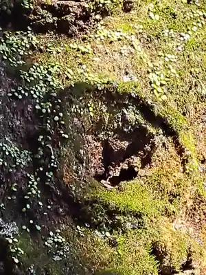 洲原神社(岐阜県)