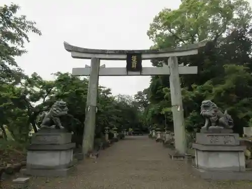 沙沙貴神社の鳥居