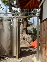 阿保神社(大阪府)