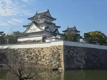 黒長龍王(大阪府)