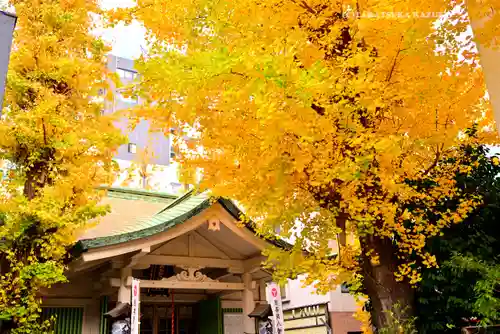 銀杏岡八幡神社(東京都)