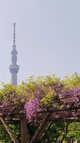 亀戸天神社の庭園