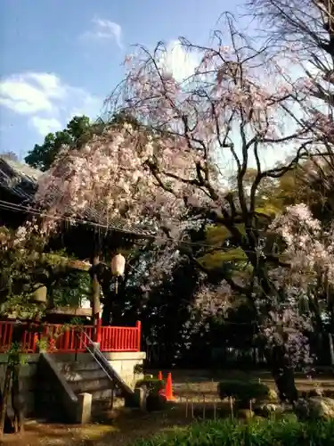 龍光寺(東京都)