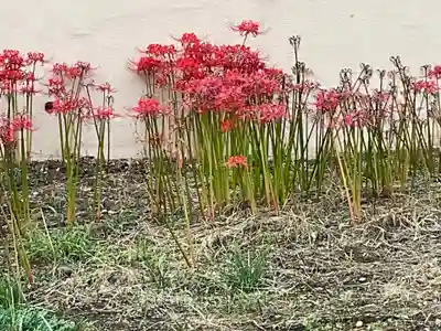 東福寺(東京都)