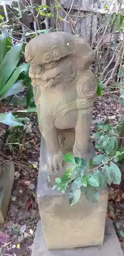 渋谷氷川神社の狛犬