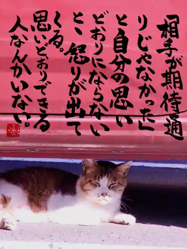 専念寺(大阪府)