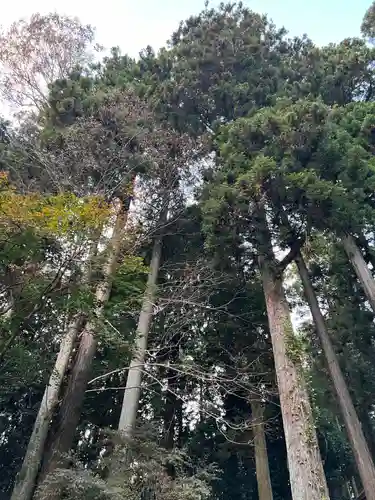 大宮温泉神社(栃木県)