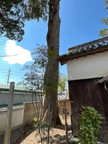御坂神社(兵庫県)