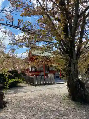 山城ゑびす神社のその他建物
