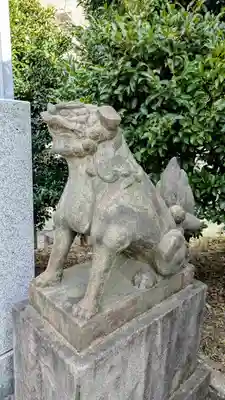 白金氷川神社の狛犬