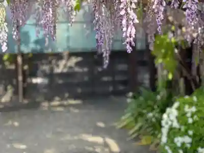 西方山極楽寺(岐阜県)