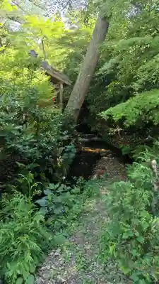 鍬山神社の自然