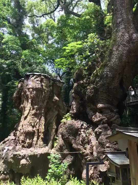 來宮神社(静岡県)