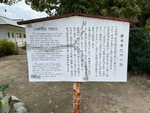 善通寺(香川県)