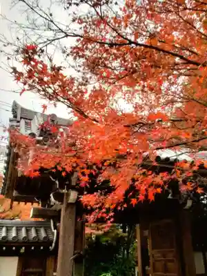 高円寺(東京都)