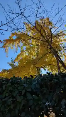 勧修寺(京都府)