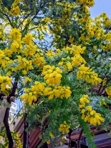 蔵前神社(東京都)