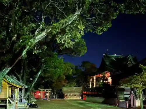 松原八幡神社の本殿・本堂