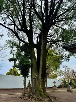 和田稲荷神社(東京都)
