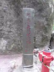 名草厳島神社の自然