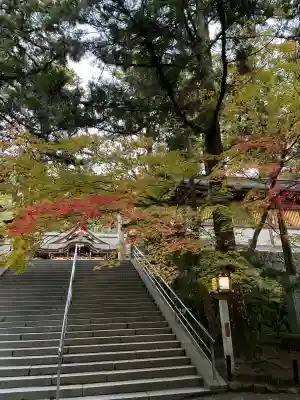 大神神社の{uncategorized: "未分類", other: "その他", undefined: "問題あり", building: "その他建物", grave: "お墓", sacred_gate: "鳥居", guardian: "狛犬", statue: "像", buddha: "仏像", history: "歴史", nature: "自然", garden: "庭園", animal: "動物", pagoda: "塔", temizu: "手水舎", mountain_gate: "山門・神門", sanctuary: "本殿・本堂", subordinate: "末社・摂社", art: "芸術", scenery: "景色", jizo: "地蔵", ema: "絵馬", goshuin: "御朱印", omikuji: "おみくじ", items: "授与品その他", amulet: "お守り", goshuincho: "御朱印帳", eats: "食事", festival: "お祭り", votive_dance: "神楽", shichigosan: "七五三参", wedding: "結婚式", experience: "体験その他", initially: "初詣", around: "周辺", anti_infection: "感染症対策"}