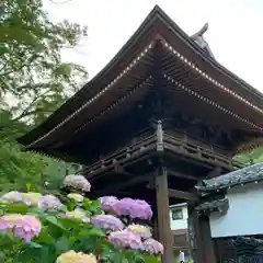 普門寺(切り絵御朱印発祥の寺)の山門