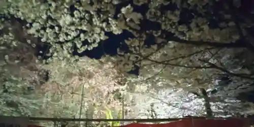 平野神社(京都府)
