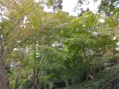 円覚寺(神奈川県)