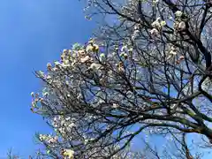 眞田神社(長野県)