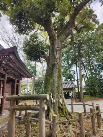 小宅神社(兵庫県)