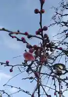 比佐豆知神社(三重県)
