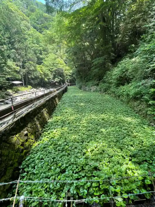 浄蓮の滝不動尊(静岡県)