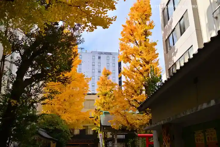 銀杏岡八幡神社(東京都)