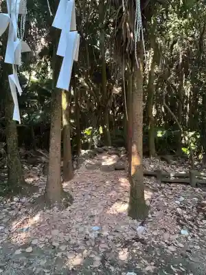 青島神社（青島神宮）(宮崎県)