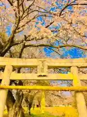 鹿嶋神社の鳥居