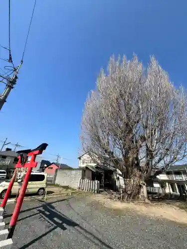 八大龍王辨財天の{uncategorized: "未分類", other: "その他", undefined: "問題あり", building: "その他建物", grave: "お墓", sacred_gate: "鳥居", guardian: "狛犬", statue: "像", buddha: "仏像", history: "歴史", nature: "自然", garden: "庭園", animal: "動物", pagoda: "塔", temizu: "手水舎", mountain_gate: "山門・神門", sanctuary: "本殿・本堂", subordinate: "末社・摂社", art: "芸術", scenery: "景色", jizo: "地蔵", ema: "絵馬", goshuin: "御朱印", omikuji: "おみくじ", items: "授与品その他", amulet: "お守り", goshuincho: "御朱印帳", eats: "食事", festival: "お祭り", votive_dance: "神楽", shichigosan: "七五三参", wedding: "結婚式", experience: "体験その他", initially: "初詣", around: "周辺", anti_infection: "感染症対策"}